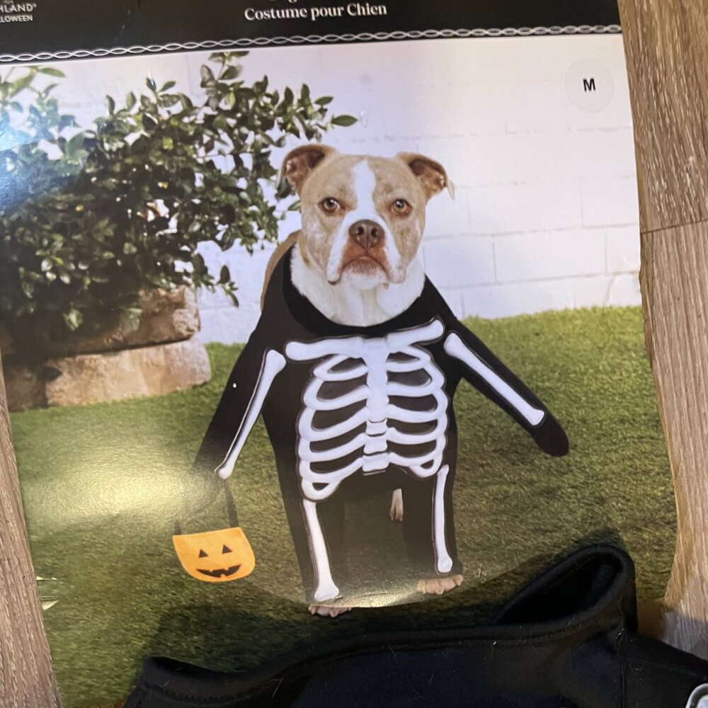 Dog Costumes - Picture 5 of 9